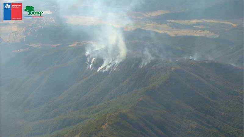 Declaran Alerta Amarilla En La Comuna De Teno Por Incendio Forestal